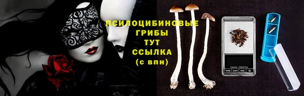 дживик Арсеньев