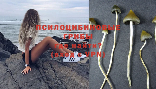 стафф Балахна