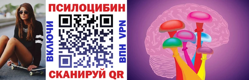 Купить закладки  Ужур  Псилоцибиновые грибы мицелий 